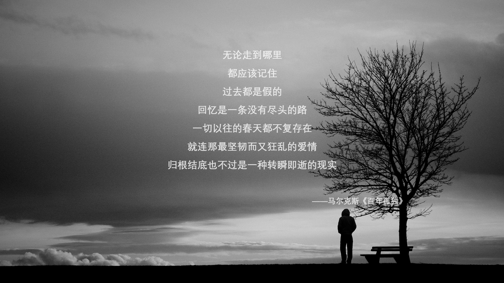 巴黎奥运会资格系列赛先后在上海和布达佩斯举行，共有158名运动员通过该赛事获得巴黎奥运会参赛资格。