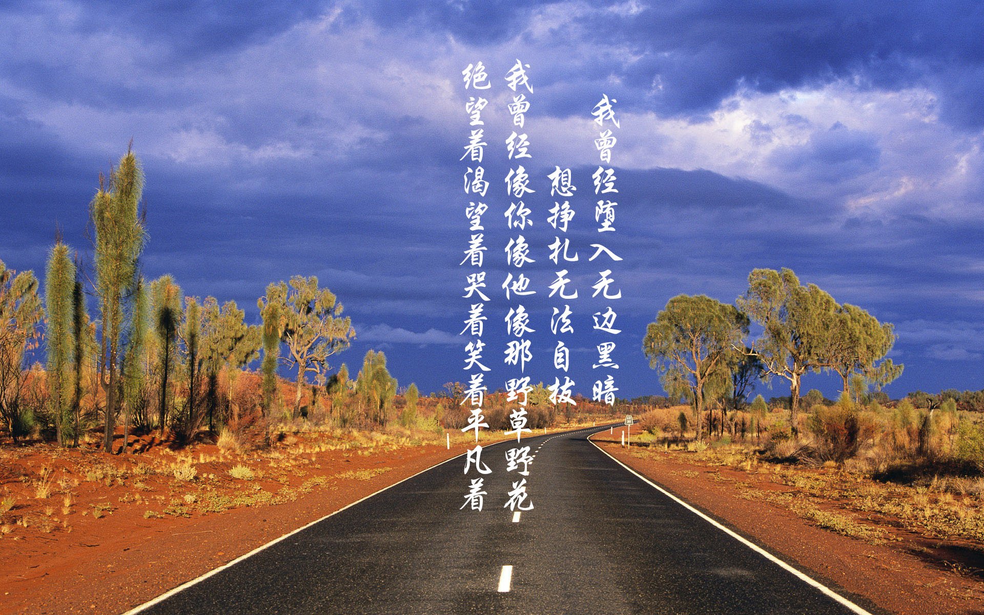 特色山林迷宫穿越，运动与智趣结合的趣味盛会，山林迷案