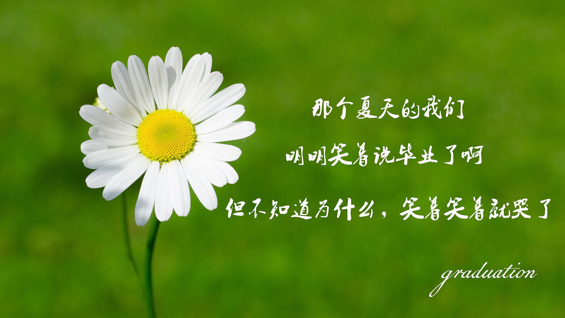 西甲足球嘉年华，观赛体验不断升级，西甲足球集锦
