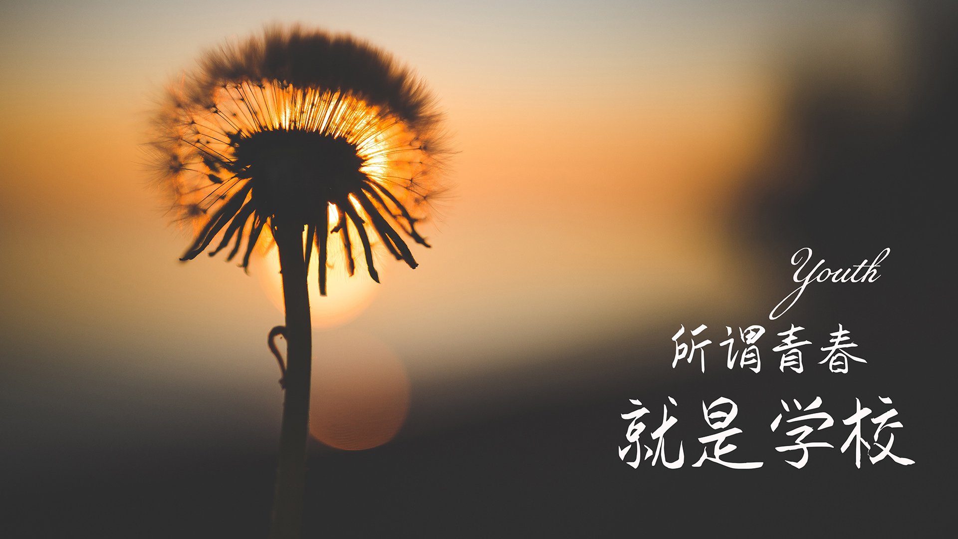 2025世俱杯对阵表-卡莱尔联头球争顶优势明显，蓝衫军盼止跌反弹，卡莱尔球员时期