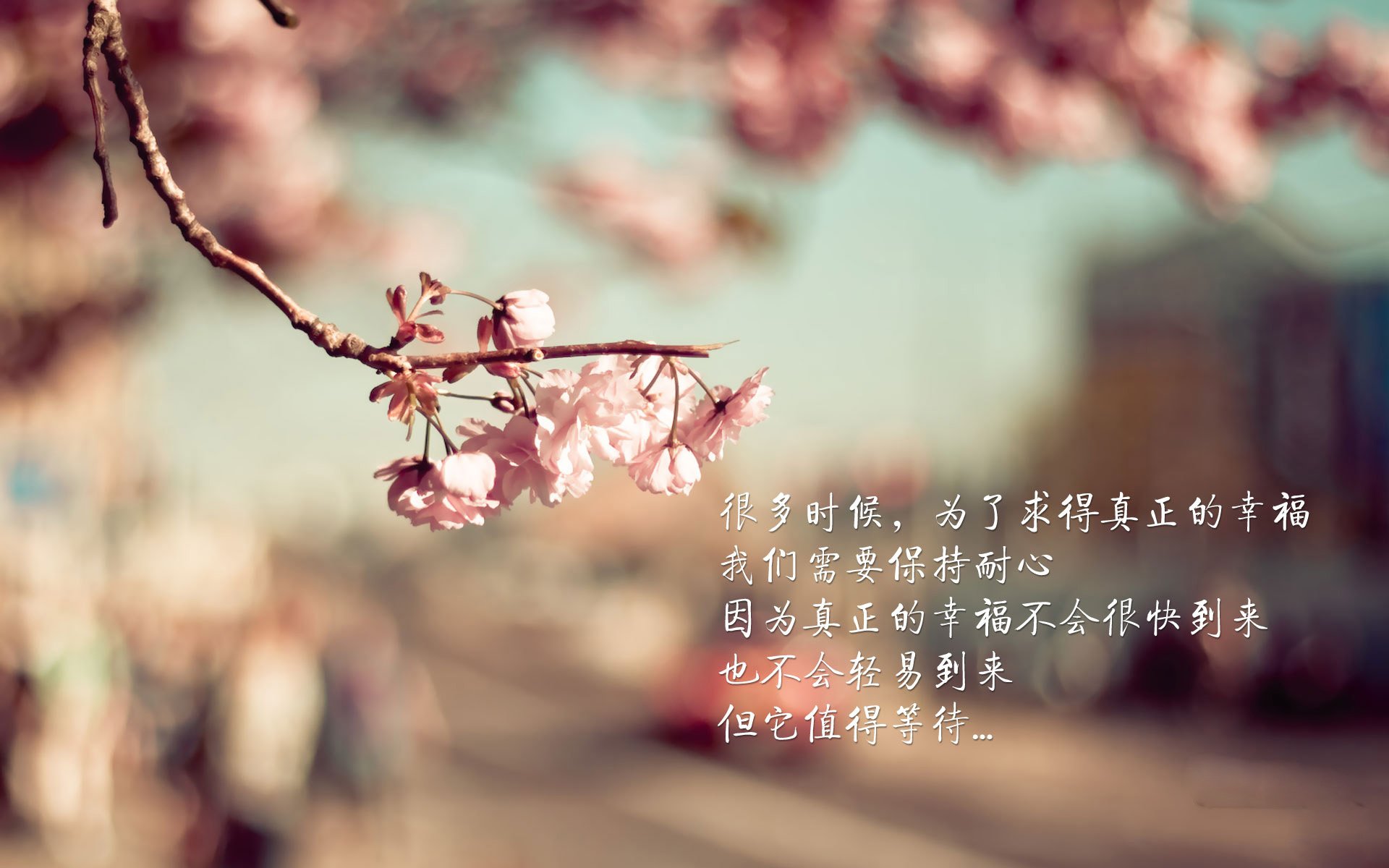足球世界俱乐部杯直播-桑普多利亚-战平罗马，难分胜负，桑普多对罗马