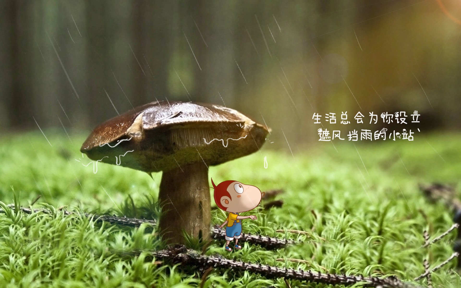世俱杯直播-西班牙队在欧洲杯期间防守稳固，失球数较少，欧洲杯西班牙防守如何