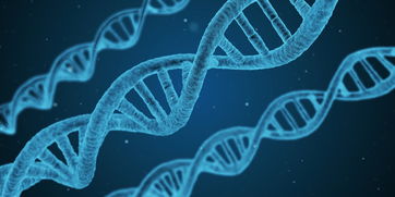 世俱杯2025-篮球专项技能教学创新与实践研究及效果评估，篮球教学实施报告 教学能力比赛